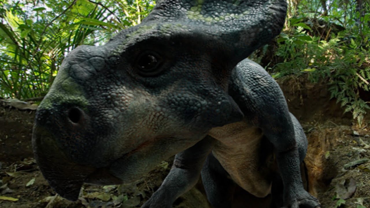 Amazing Dinoworld [2019] - Protoceratops Screen Time