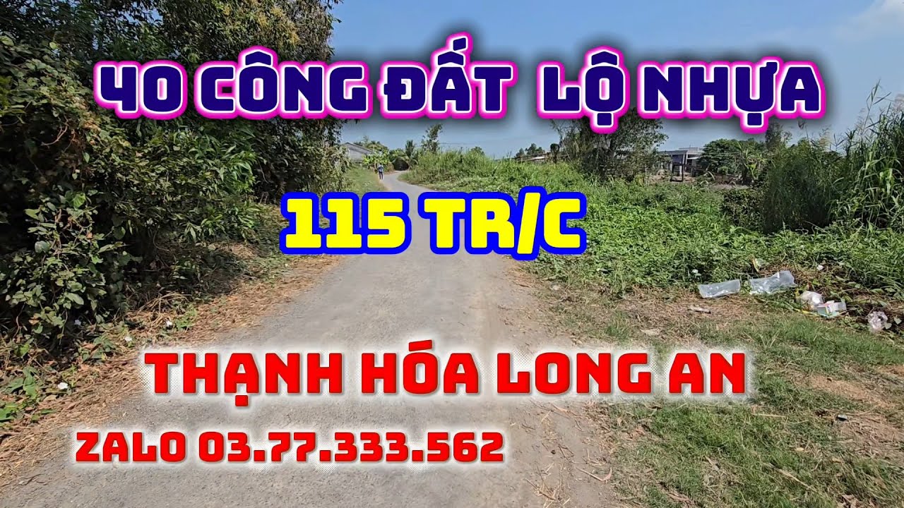 40 công đất  đường nhựa  giá  115 tr/c ,thạnh hóa long an