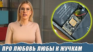 видео: Как охотиться на Соболь с помощью жучка за 700 рублей картинка: Как охотиться на Соболь с помощью жучка за 700 рублей