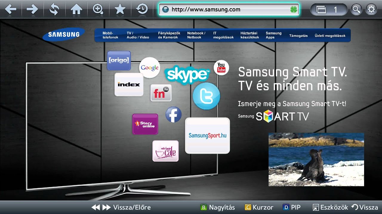 Samsung Smart TV - Web browser funkció How-to - YouTube