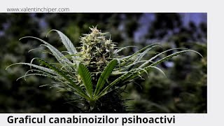 Graficul canabinoizilor psihoactivi