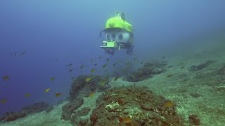 New deep ocean species looking to be discovered by researches amid warming ocean