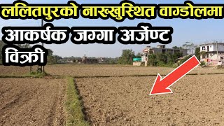 अर्जेण्ट जग्गा बिक्री ललितपुरमा|land sale in bagdol|ghar jagga lalitpur|hamrobazar|kathmandu|nepal