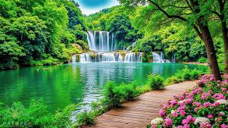 Beautiful Relaxing Music 🌿Stop Overthinking, Stress Relief Music, Peaceful Ambience for Meditation