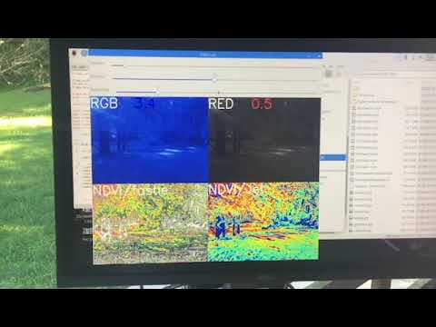 NDVI Video Gain Optimization