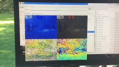 NDVI Video Gain Optimization