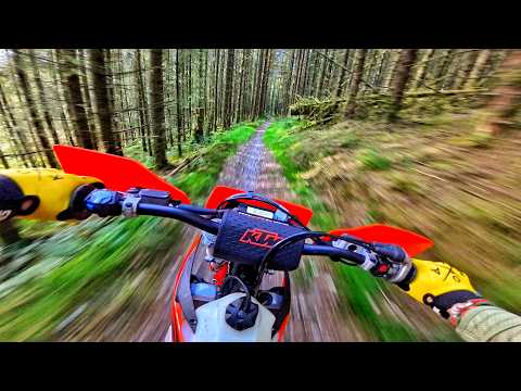 The Incredible Dirt Bike No One Talks About