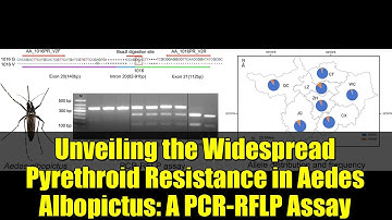 Unveiling the Widespread Pyrethroid Resistance in Aedes Albopictus: A PCR-RFLP Assay