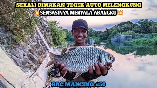 MERASAKAN BEROTAN BADER BABON!  || STRIKE IKAN BADER YANG TAK TERLUPAKAN || BAC Mancing #50