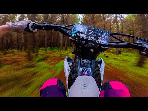 YZ450F | CRAZY FAST WOODS RIDE!!! #2 (RAW SOUND) 4K