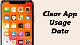 How To Clear App Usage Data On iPhone screenshot 4