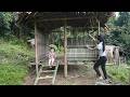 Completing the New Stilt House - Building a Staircase and Ventilated Windows Using Bamboo