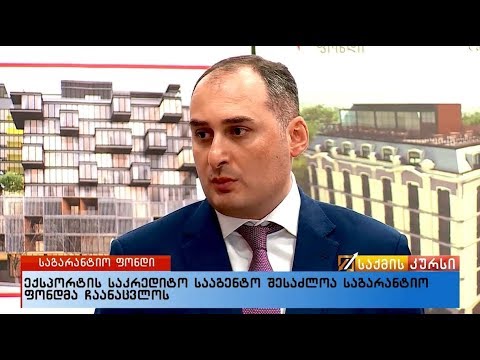 ექსპორტის საკრედიტო სააგენტო შესაძლოა საგარანტიო ფონდმა ჩაანაცვლოს