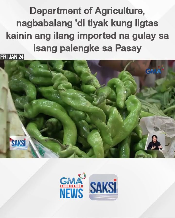 Department of Agriculture, nagbabalang 'di tiyak kung ligtas kainin ang ilang imported na... | Saksi