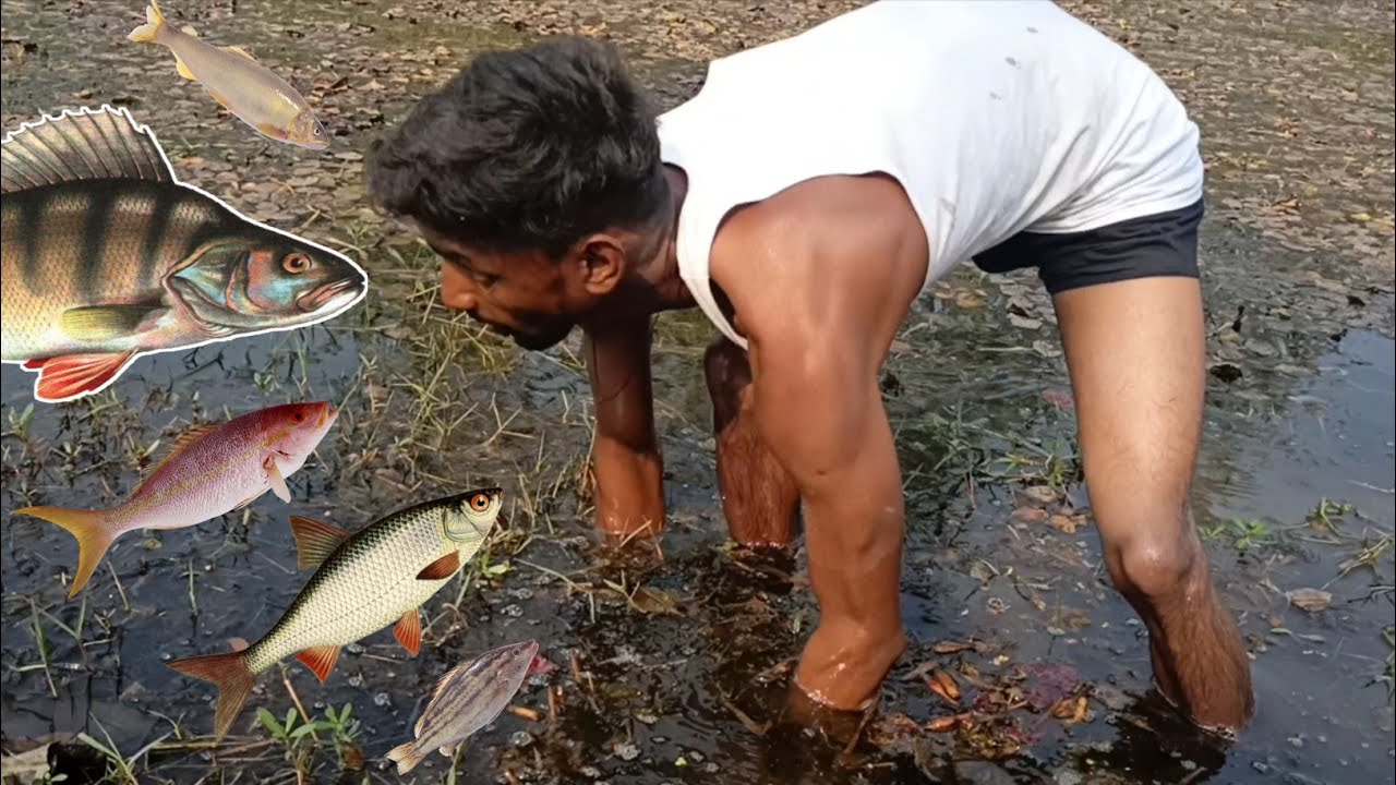 Village Boy Fishing Catching Video | Arvind Extra