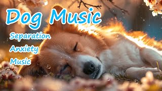 Healing Music for Anxious Dogs: Soothing Sounds for Deep Relaxation and Sleep, Dog Music