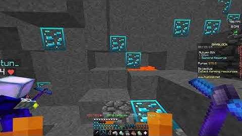 Hypixel Skyblock - Bug Report 00001