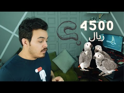 فيديو: ما هي تكلفة الببغاء؟