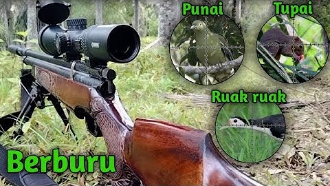 Berburu tupai punai dan ruak ruak Komplit