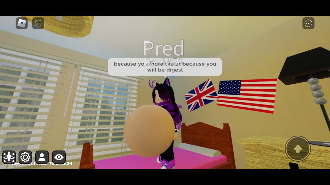 cat des nom human boy