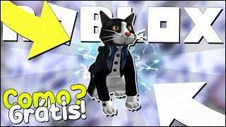 VIREI UM GATINHO NO ROBLOX ! (Simulador de Gato) 