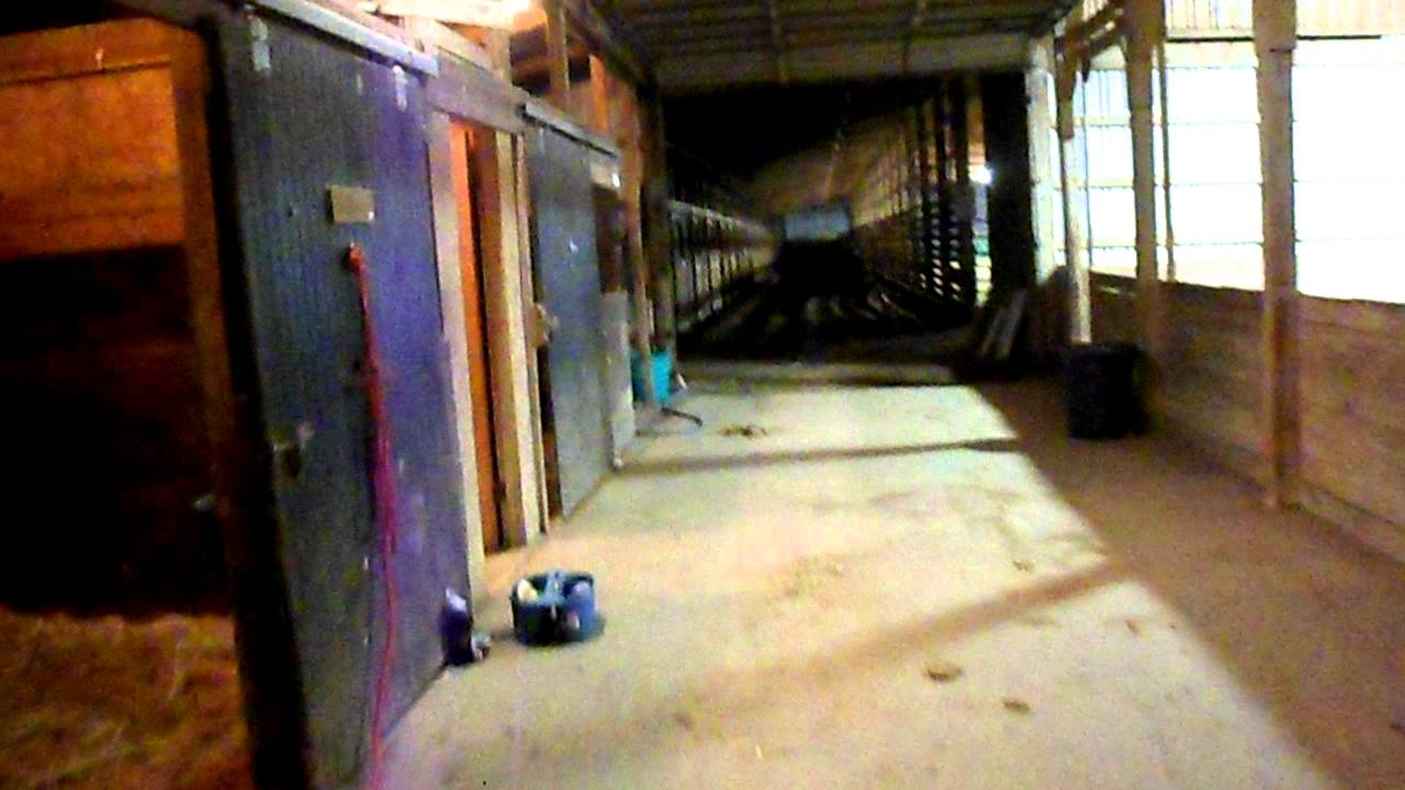 Tour of Foxton Farm in Romney Indiana YouTube