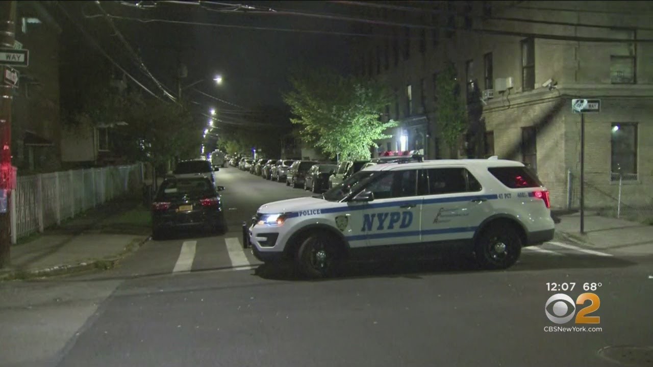 the bronx museum of the arts Bronx Homeowner Accused Of Chasing Down, Killing Burglar