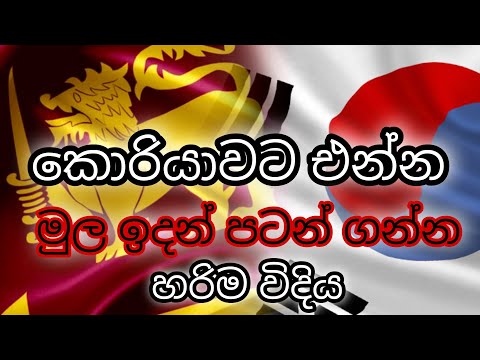 how to Since Korean language  | කොරියන් අකුරක්වත් නොදන්න, අල්ලගන්න අමාරු ඔයාට | කොරියන් මුල ඉදන්