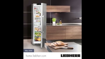 Liebherr Freestanding BioFresh larder fridge KBES4350