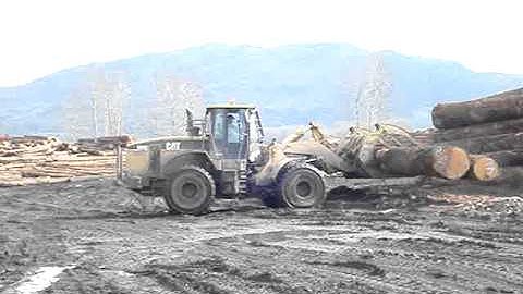 966G wheel log loader