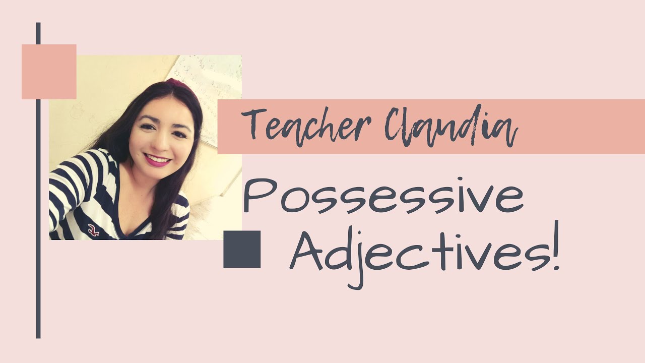 Adjetivos Posesivos - Possessive Adjectives