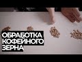 Обработка кофе и ее виды. Как она влияет на вкус.