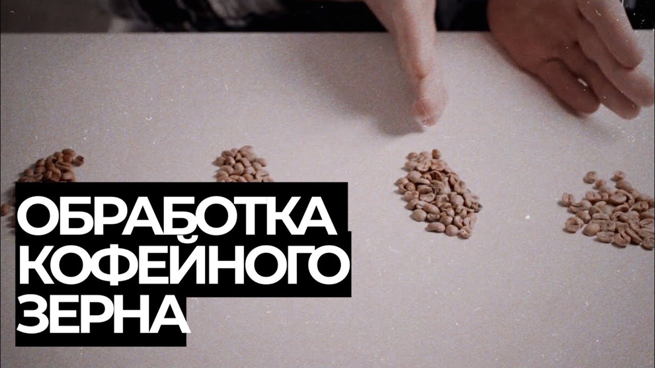 Обработка кофе и ее виды. Как она влияет на вкус. - YouTube