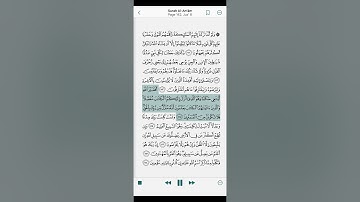 Surah Al-An’am - Verses 111 to 118 / سورة الأنعام - الآيات 111 إلى 118