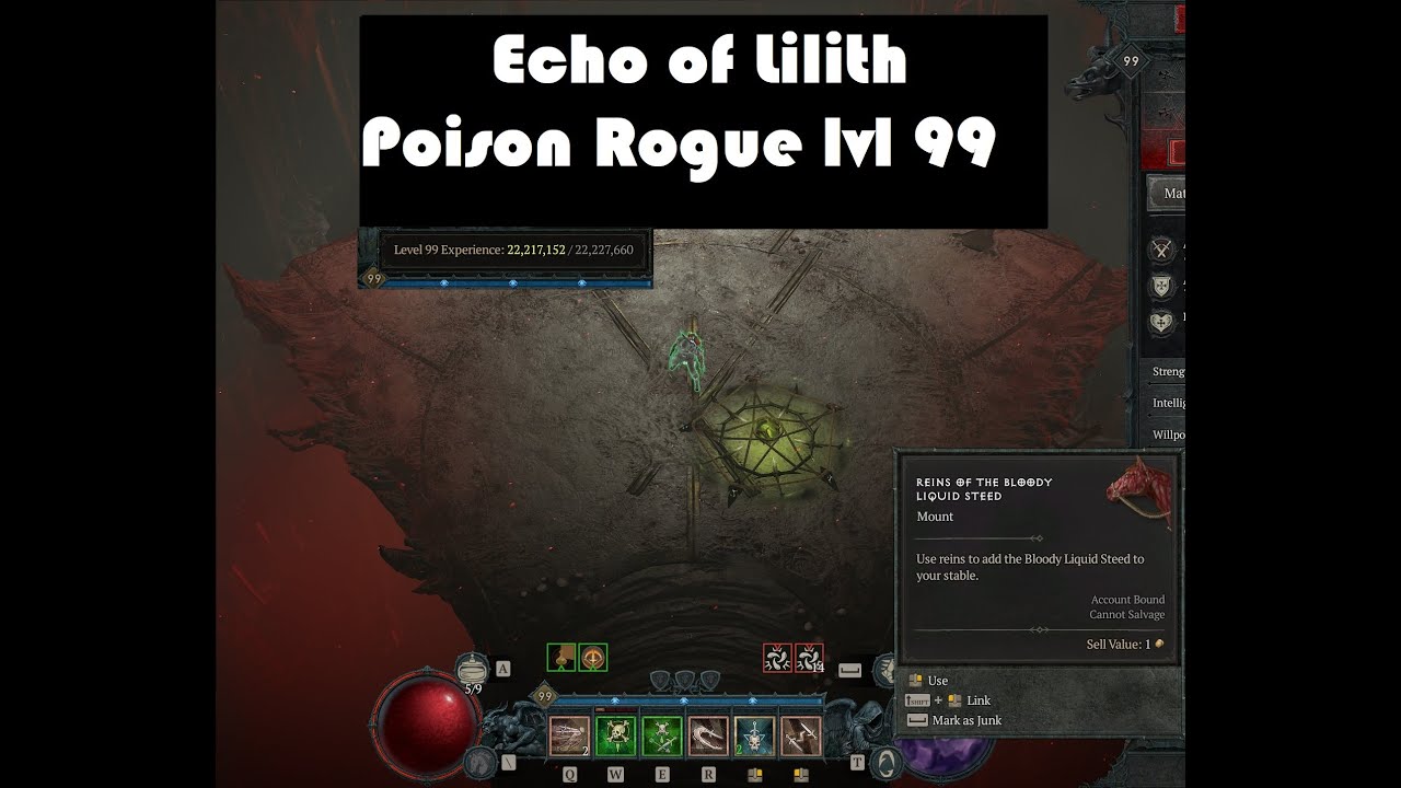 Echo of Hatred (Lilith) Diablo 4 Rogue lvl 99 - YouTube