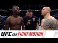 UFC 263: Fight Motion