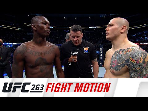 UFC 263: Fight Motion