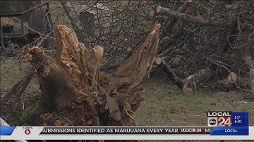 Volunteers chip in across DeSoto County in aftermath of two destructive tornadoes