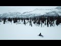 Alaska Winter, Sleds and Scenery (2018)