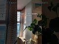 Lucy Williams' House will always be the dream 😍 ❤ #kitchenrenovation #victorianhome #renovation