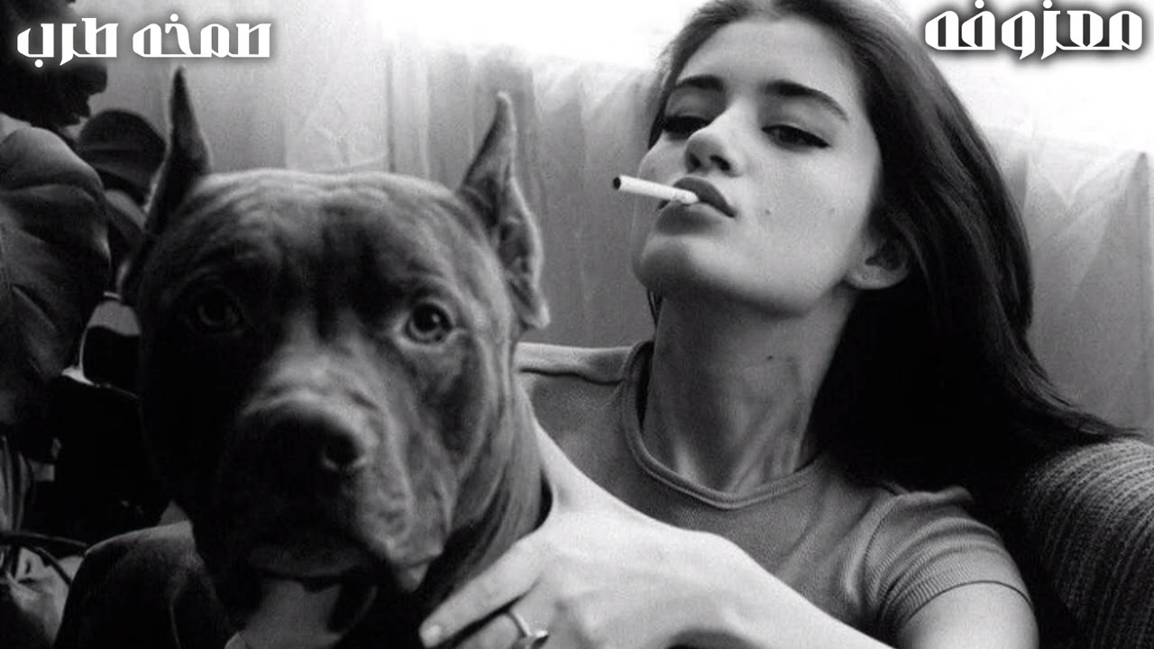 معزوفه اغاني استكنان عربى - صمخه دبكة طربية هجوله - مطلوبه أكثر شيء #تيك_توك 2026