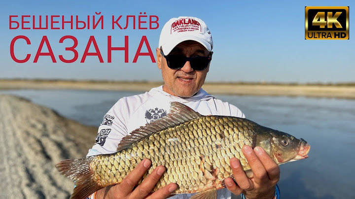 Вот это рыбалка! Бешеный клёв сазана. (That's fishing! Crazy biting carp.)