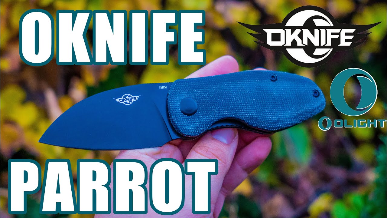 Why I keep buying Olight knives... the OKNIFE Parrot! - YouTube