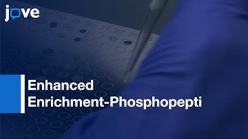 Highly Porous Coordination Polymer Coatings On Macroporous Polymer Monoliths l Protocol Preview