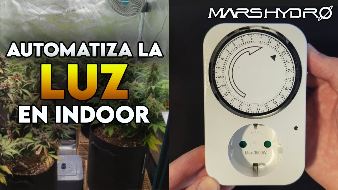 Cómo usar un temporizador analógico para tu cultivo indoor | Guía fácil paso a paso