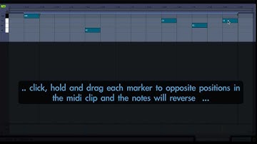 how to reverse midi clips in ableton live 8