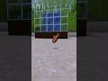 Peores comidas en Minecraft | Pez tropical #minecraft #shortvideo