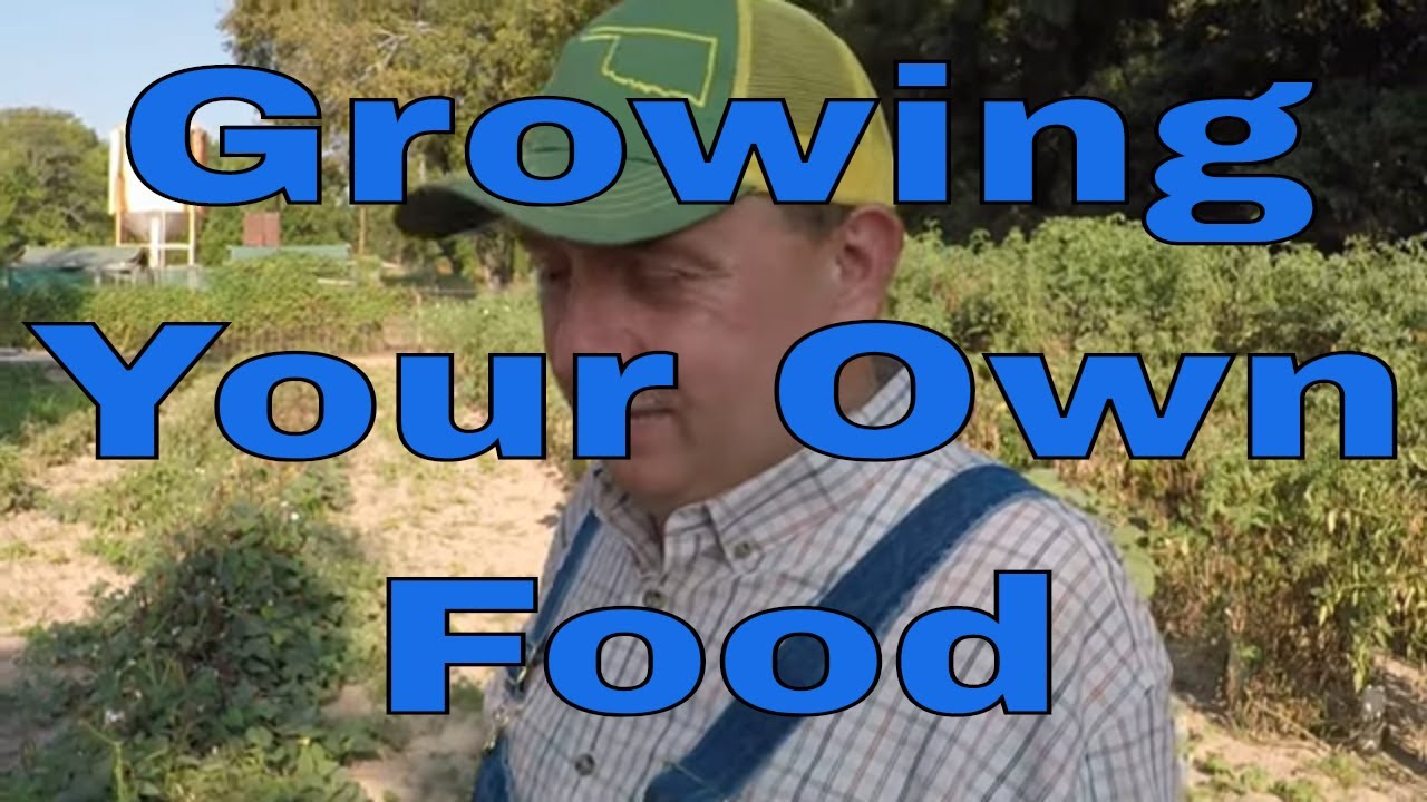 Growing Your Own Food - YouTube