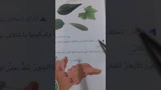 موضوع (النباتات المركبة) للصف الرابع الأبتدائي