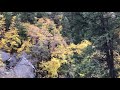 Yosemite fall colors (October 22nd, 2018)